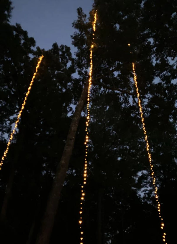 How to String Lights On an Outdoor Tree