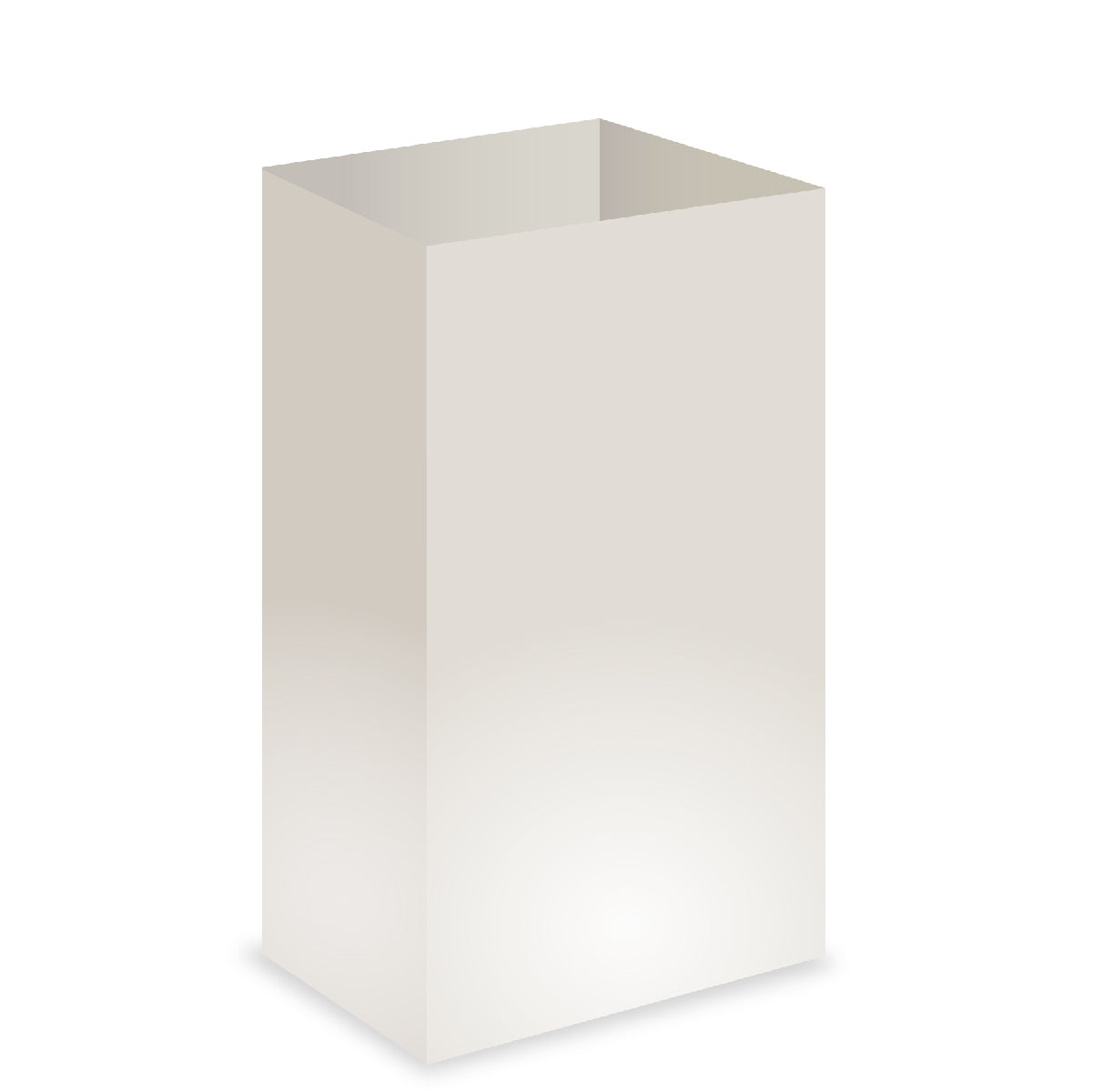 Electric Luminary Pathway Light Bags (set of 10)