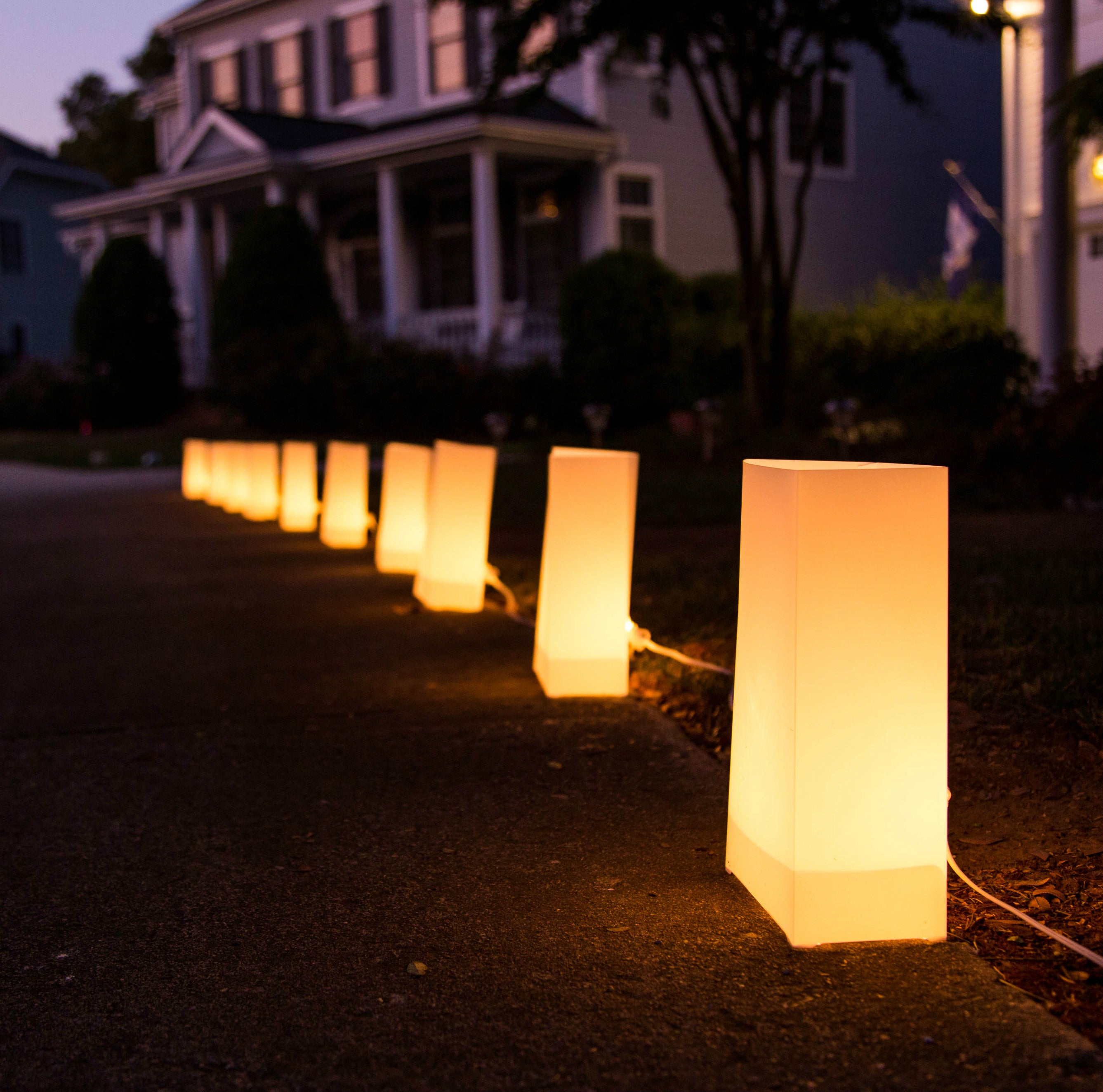 Electric Luminary Pathway Light Bags (set of 10)
