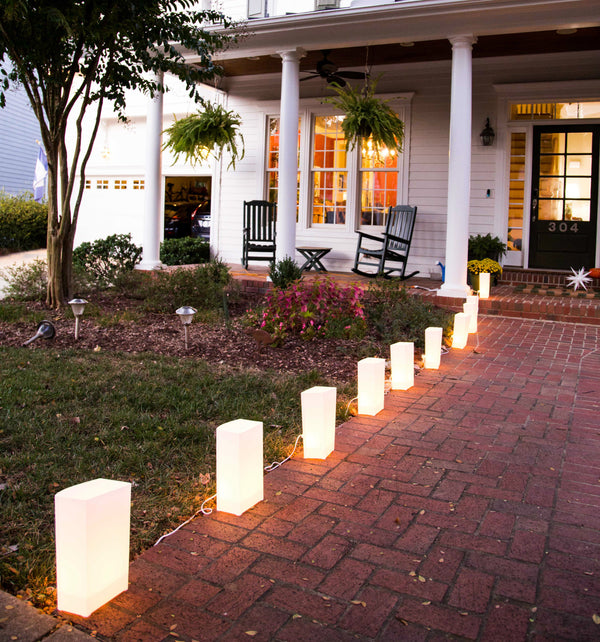 Electric Luminary Pathway Light Bags (set of 10)